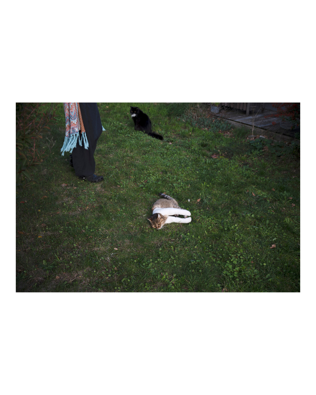 Image 9